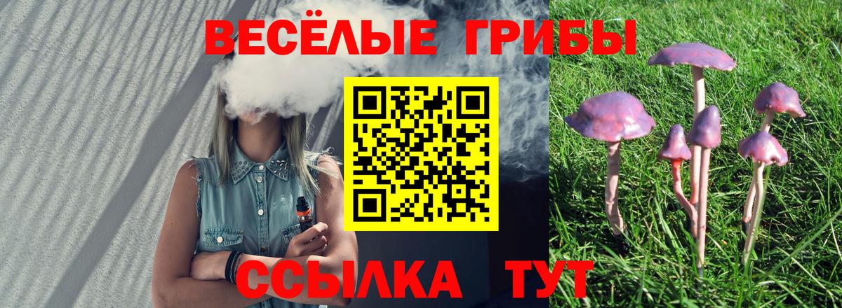 Галлюциногенные грибы MAGIC MUSHROOMS Урус-Мартан