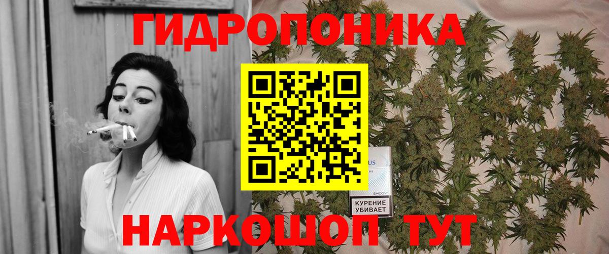 Конопля план Урус-Мартан